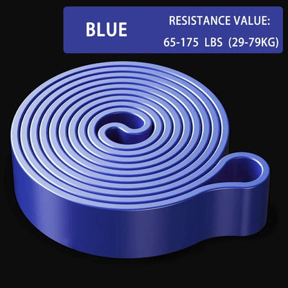 Bandes de Résistance Pro — Musculation & Stretching Tous Niveaux